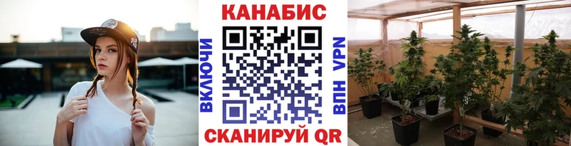 Бошки Шишки THC 21% магазин продажи наркотиков Изобильный